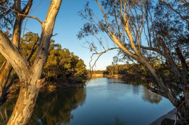 On the Murray River early morning